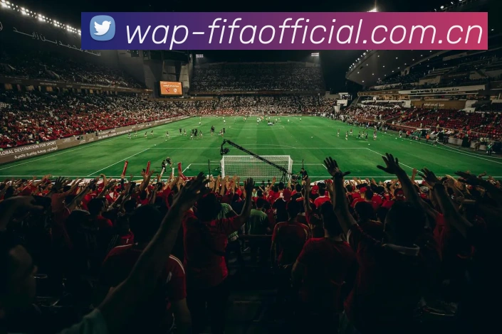 FIFA 官方数据授权认证